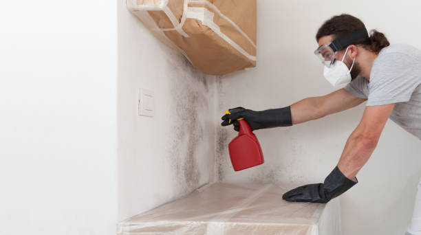 Professional Black Mold Remediation technician working in Bohemia, NY